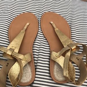 Torrid Sandals